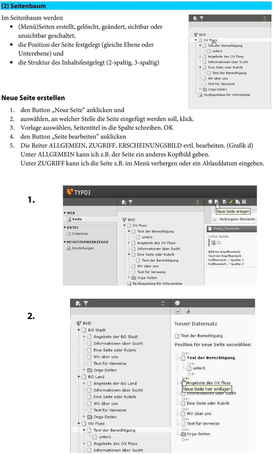 auswählen, an welcher Stelle die Seite eingefügt werden soll, klick. 3. Vorlage auswählen, Seitentitel in die Spalte schreiben. OK 4. den Button Seite bearbeiten anklicken 5.