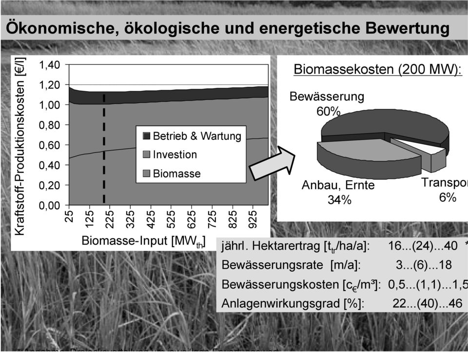 Biomassekosten (200 MW): Bewässerung 60% Anbau, Ernte 34% Transpor 6% jährl. Hektarertrag [t tr /ha/a]: 16...(24).