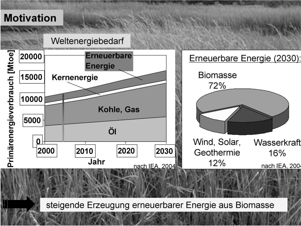 2010 2020 2030 nach IEA, 2004 Erneuerbare Energie (2030): Biomasse 72% Wind, Solar,