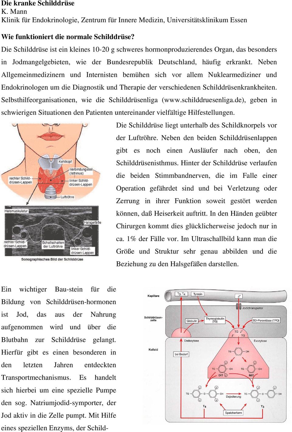 eben Allgemeinmedizinern und nternisten bemühen sich vor allem uklearmediziner und ndokrinologen um die Diagnostik und Therapie der verschiedenen childdrüsenkrankheiten.