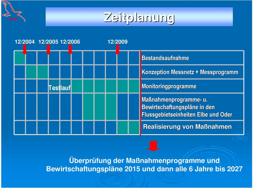 Bewirtschaftungspläne ne in den Flussgebietseinheiten Elbe und Oder Realisierung von