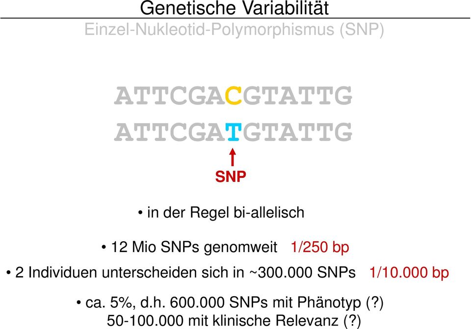 genomweit 1/250 bp 2 Individuen unterscheiden sich in ~300.000 SNPs 1/10.