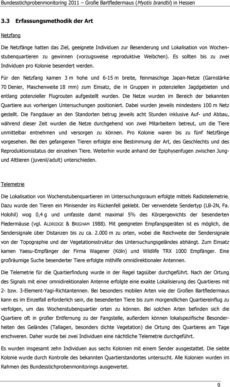 Für den Netzfang kamen 3 m hohe und 6-15 m breite, feinmaschige Japan-Netze (Garnstärke 70 Denier, Maschenweite 18 mm) zum Einsatz, die in Gruppen in potenziellen Jagdgebieten und entlang