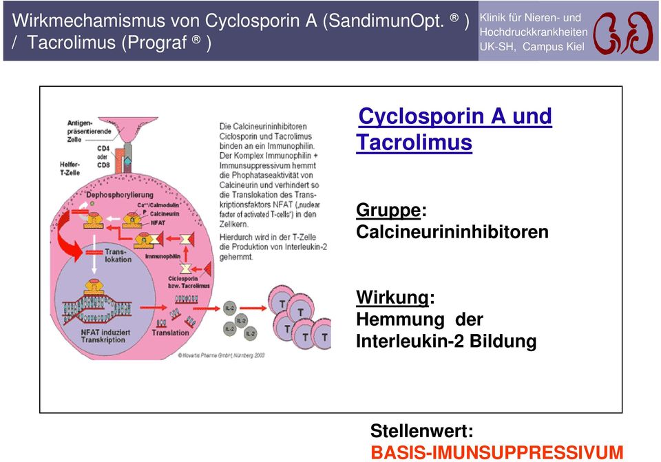 Tacrolimus Gruppe: Calcineurininhibitoren Wirkung: