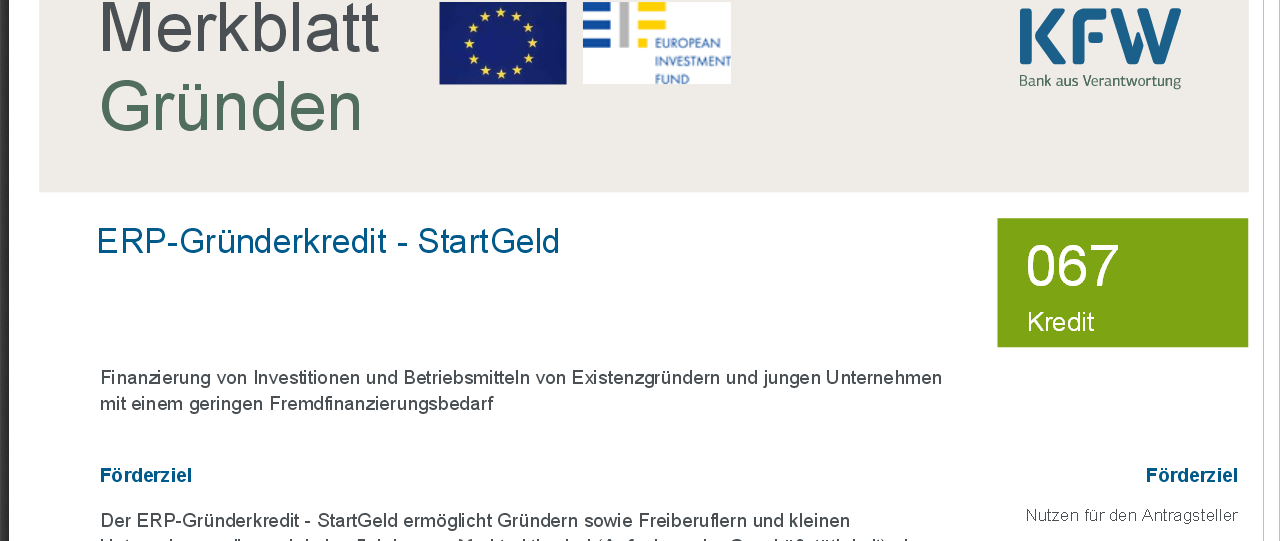 KfW ERP- Gründerkredit StartGeld Basisprogramm für Kleingründer Einheitliche Zinssätze: # 5Y: 2,05 % # 10Y: 2,70 % Gesamtfinanzierung bis zu 100.000 EUR Davon bis zu 30.