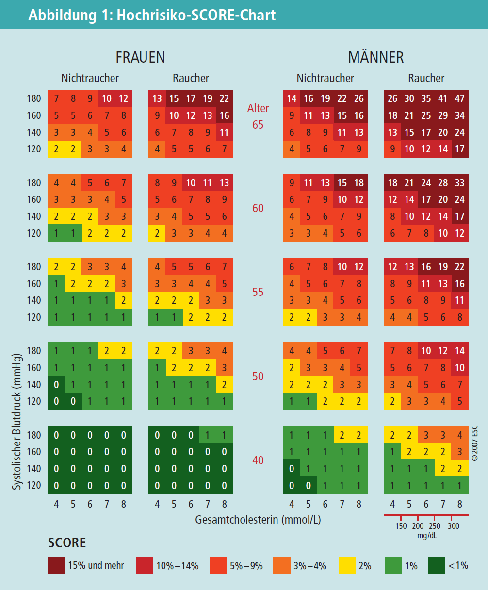 10-Jahres-Risikoscore für eine tödliche kardiovaskuläre Erkrankung Hohe Blutdruckwerte und hohe