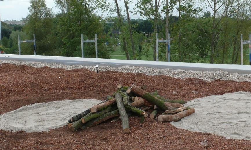 Biodiversitäts-Module Einbringung von Totholz