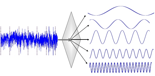 54 Literatur Frequenzanalyse Prinzip der Signaldekomposition Eingangssignal Spektralanalyse Einzelne Signalbestandteile (RR-Tachogramm) (Zerlegung) (periodische Funktionen) Abbildung 5: Schematische