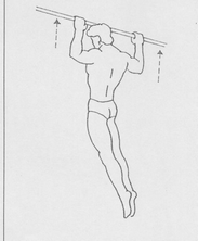 c) Klimmzüge Der Sportler löst die Spannung im Muskel, saust Richtung Boden und fängt sich kurz bevor die Arme gestreckt sind exzentrisch ab und zieht sich wieder nach oben.