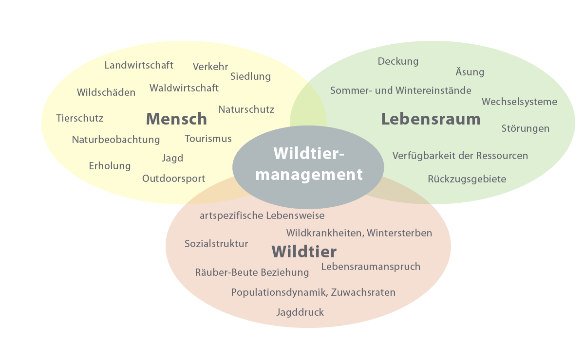 Wildtiermanagement Oberste Ziele des Wildtiermanagements :