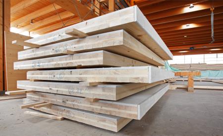 Bauen mit dem Werkstoff Holz Als einziger Werkstoff ist Holz CO2 neutral und damit