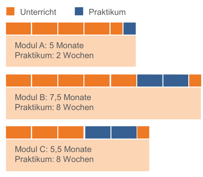 Die Qualifizierung zum/ zur SprInt Aktuell: regelmäßige und verbindliche Weiterbildungen zu Themen aus