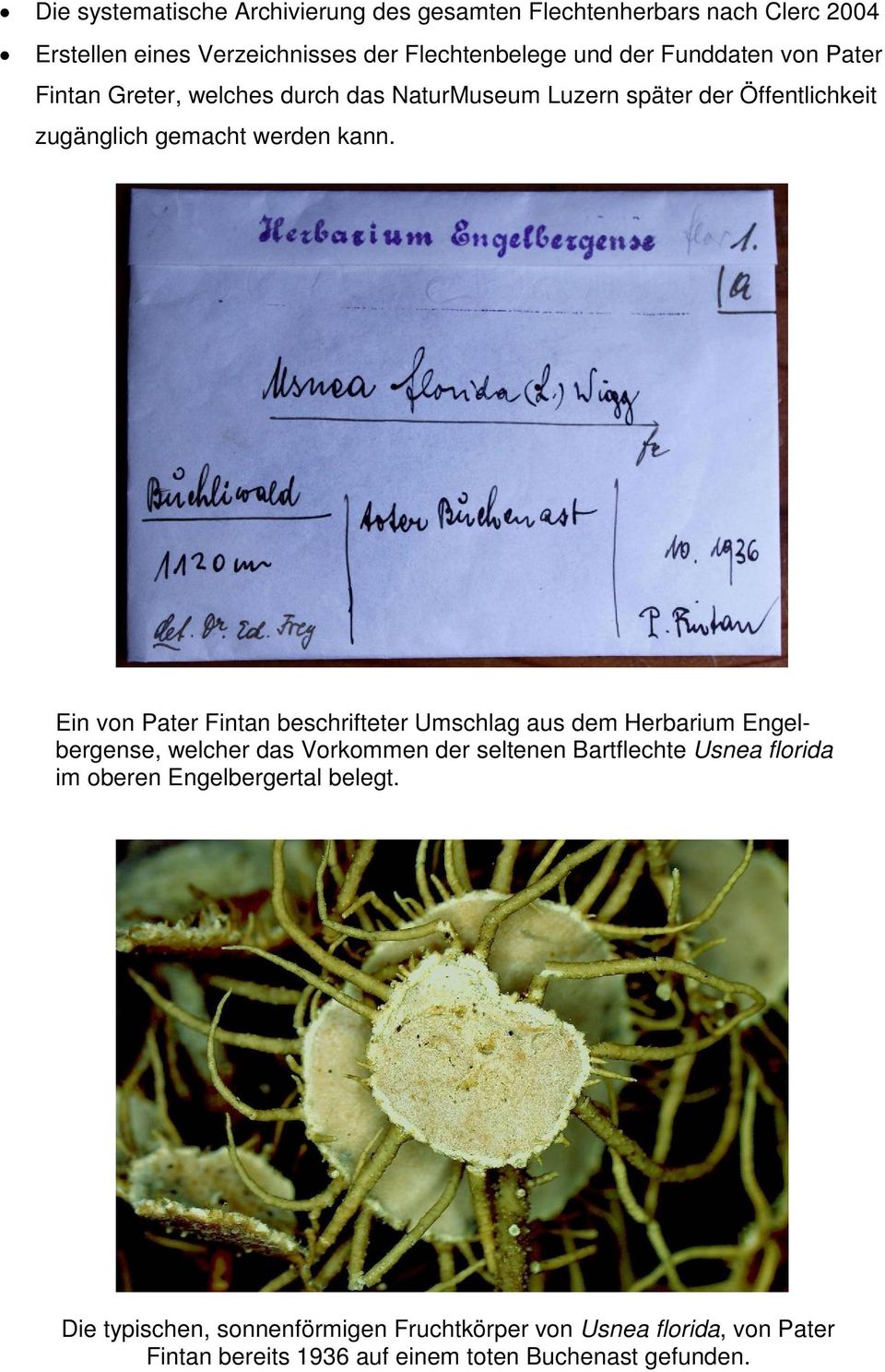 Ein von Pater Fintan beschrifteter Umschlag aus dem Herbarium Engelbergense, welcher das Vorkommen der seltenen Bartflechte Usnea florida im
