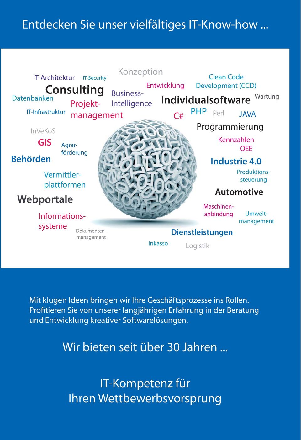 Individualsoftware C# Clean Code Development (CCD) Wartung PHP Perl JAVA Programmierung Logistik Kennzahlen OEE Industrie 4.