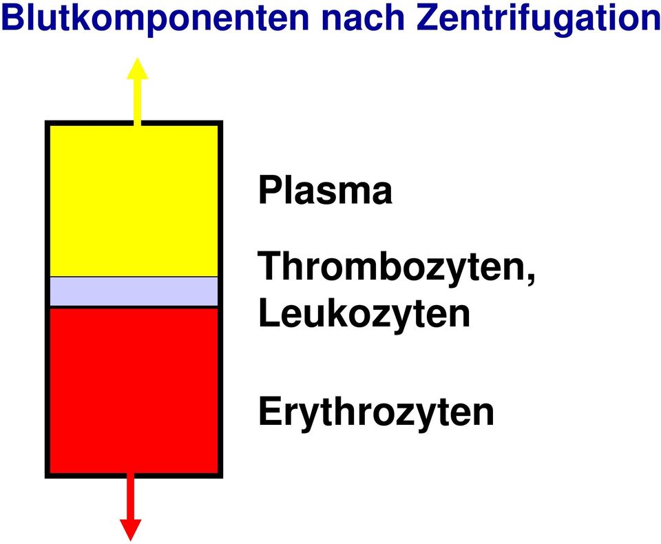 Plasma