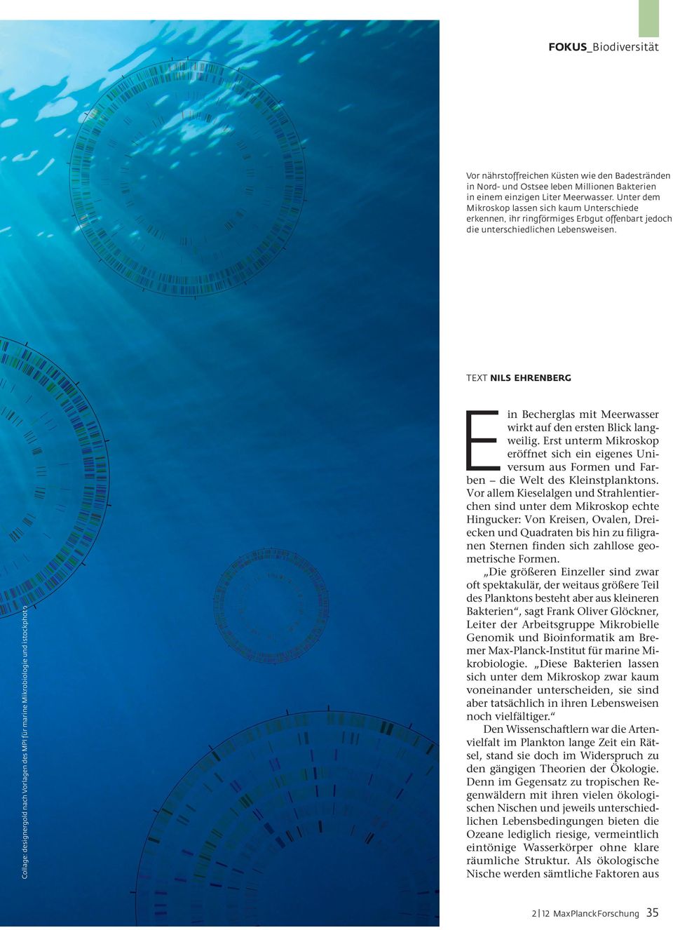 TEXT NILS EHRENBERG Collage: designergold nach Vorlagen des MPI für marine Mikrobiologie und istockphoto t E in Becherglas mit Meerwasser wirkt auf den ersten Blick langweilig.
