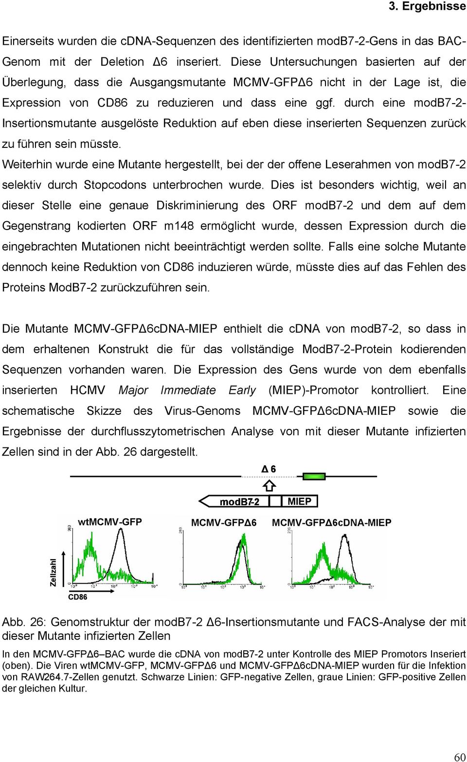 durch eine modb7-2- Insertionsmutante ausgelöste Reduktion auf eben diese inserierten Sequenzen zurück zu führen sein müsste.