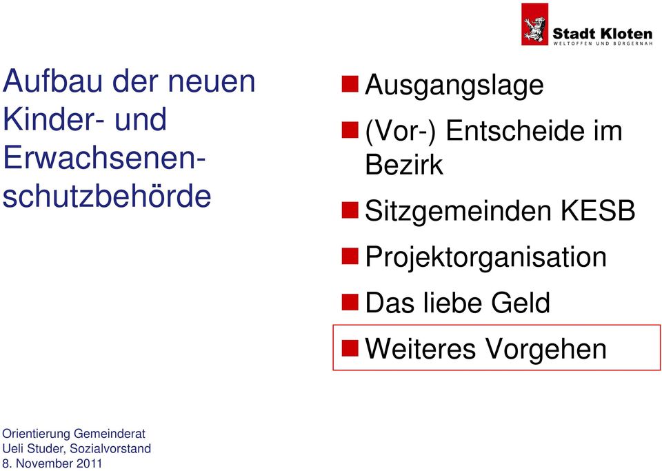 KESB Projektorganisation Das liebe Geld Weiteres Vorgehen