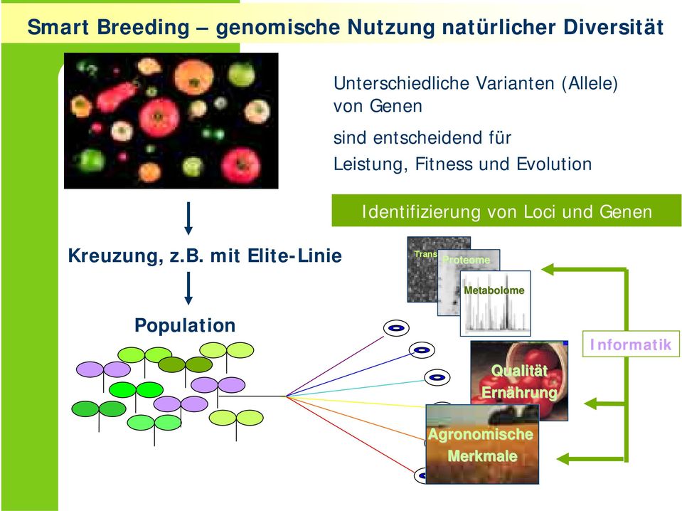 Evolution Identifizierung von Loci und Genen Kreuzung, z.b.