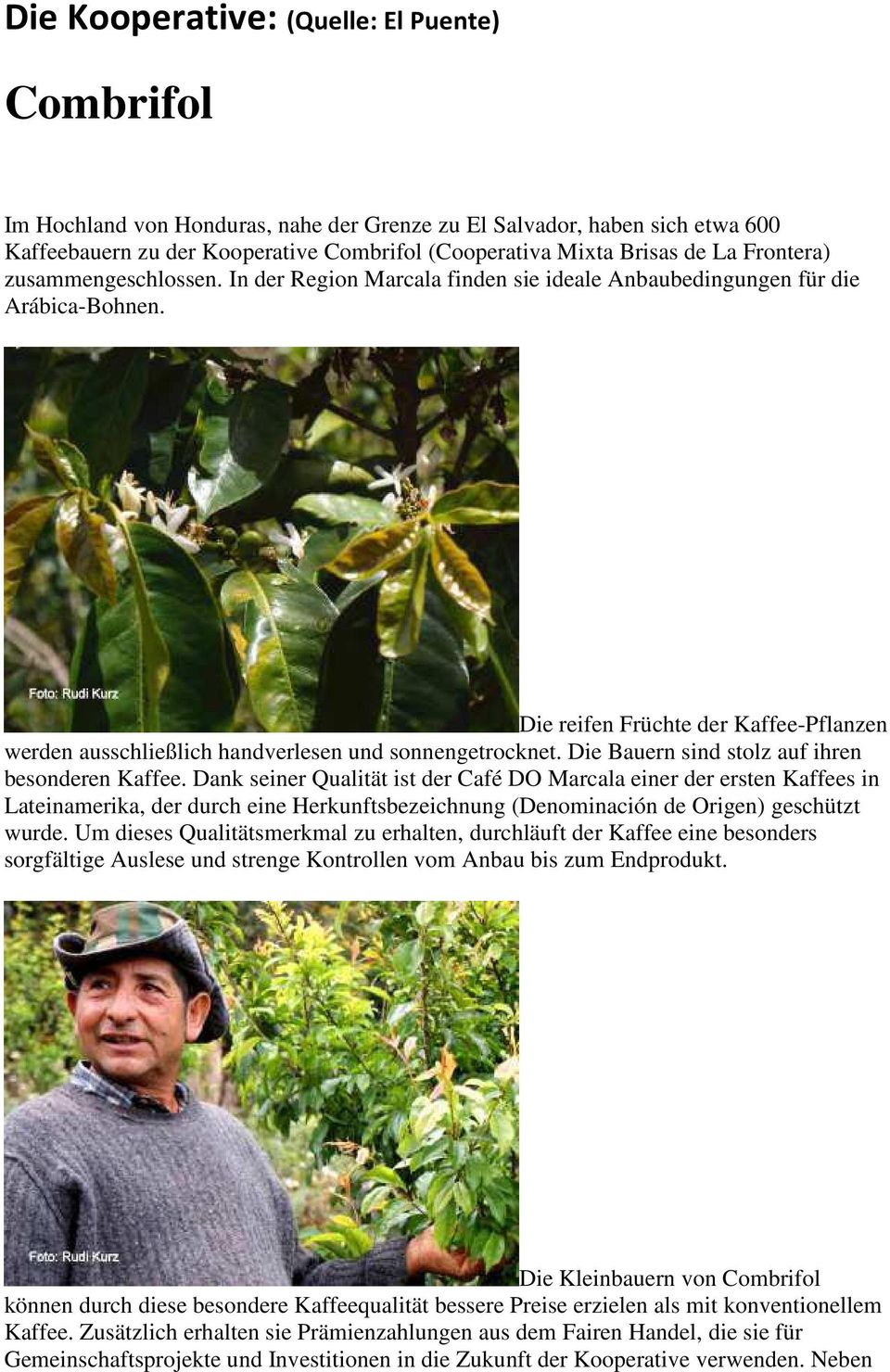 Die reifen Früchte der Kaffee-Pflanzen werden ausschließlich handverlesen und sonnengetrocknet. Die Bauern sind stolz auf ihren besonderen Kaffee.