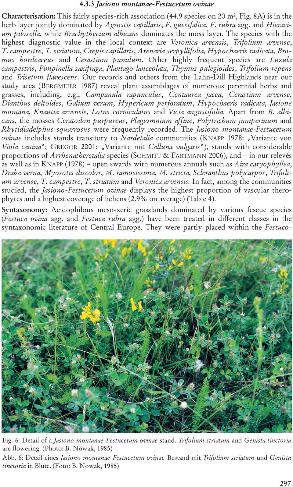 The species with the highest diagnostic value in the local context are Veronica arvensis, Trifolium arvense, T. campestre, T.