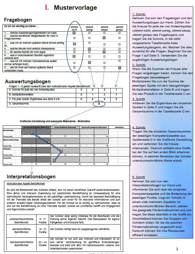 4.1 Die Entwicklung des Auswertungsleitfadens Der Auswertungsleitfaden (Lipowski et al. 2015) besteht aus drei Teilen: Mustervorlage, Auswertungsbögen und Interpretationsbogen (Abb. 2-4).