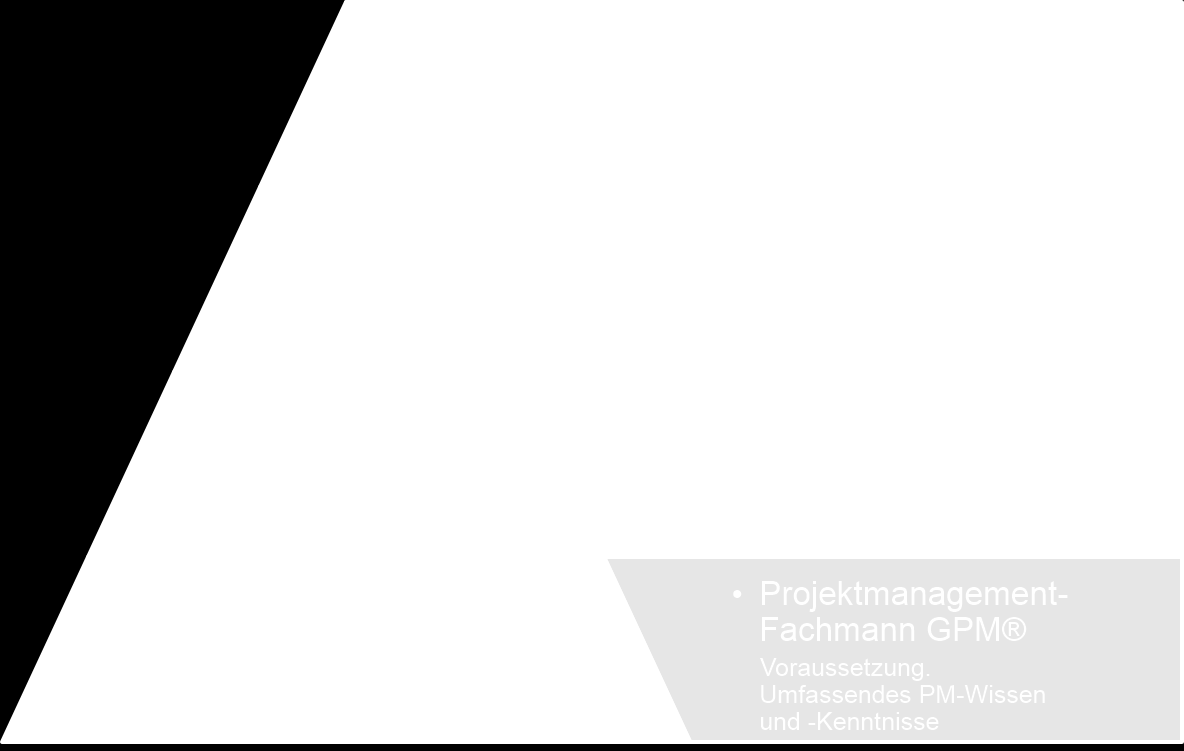 Das Vier-Ebenen-System der IPMA (International Project Management Association) zur Qualifizierung und Zertifizierung von Projektmanagement-Personal Professionelles Projektmanagement ist die