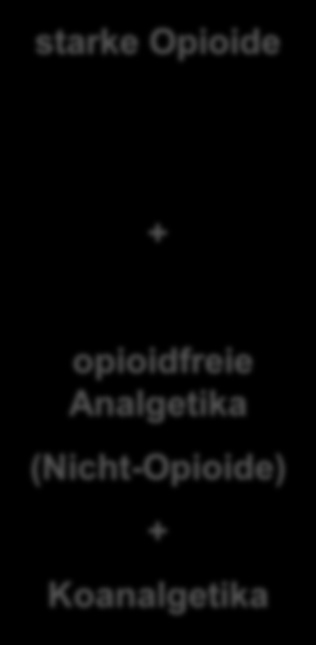 opioidfreie Analgetika (Nicht-Opioide) + Koanalgetika + opioidfreie