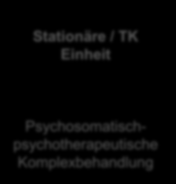 Psychosomatische Medizin im Krankenhaus Stationäre / TK Einheit