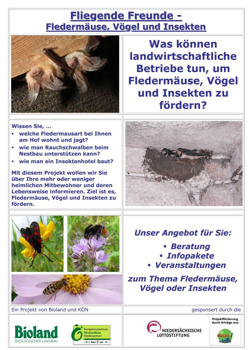 Fliegende Freunde (2008-2010) Ziele: - Förderung von Vögeln, Fledermäusen und Insekten - Umweltbildung -