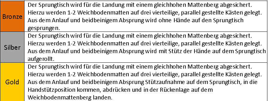 Gerätturnen Disziplingruppe