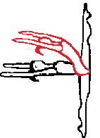 Arabesque, Oberkörper vorwärts in Horizontale oder oder Arabesque/Attitude mit Oberkörper rückwärts gebeugt oder oder Spagat vorwärts/seitwärts ohne Unterstützung (nur gültig als vorwärts und