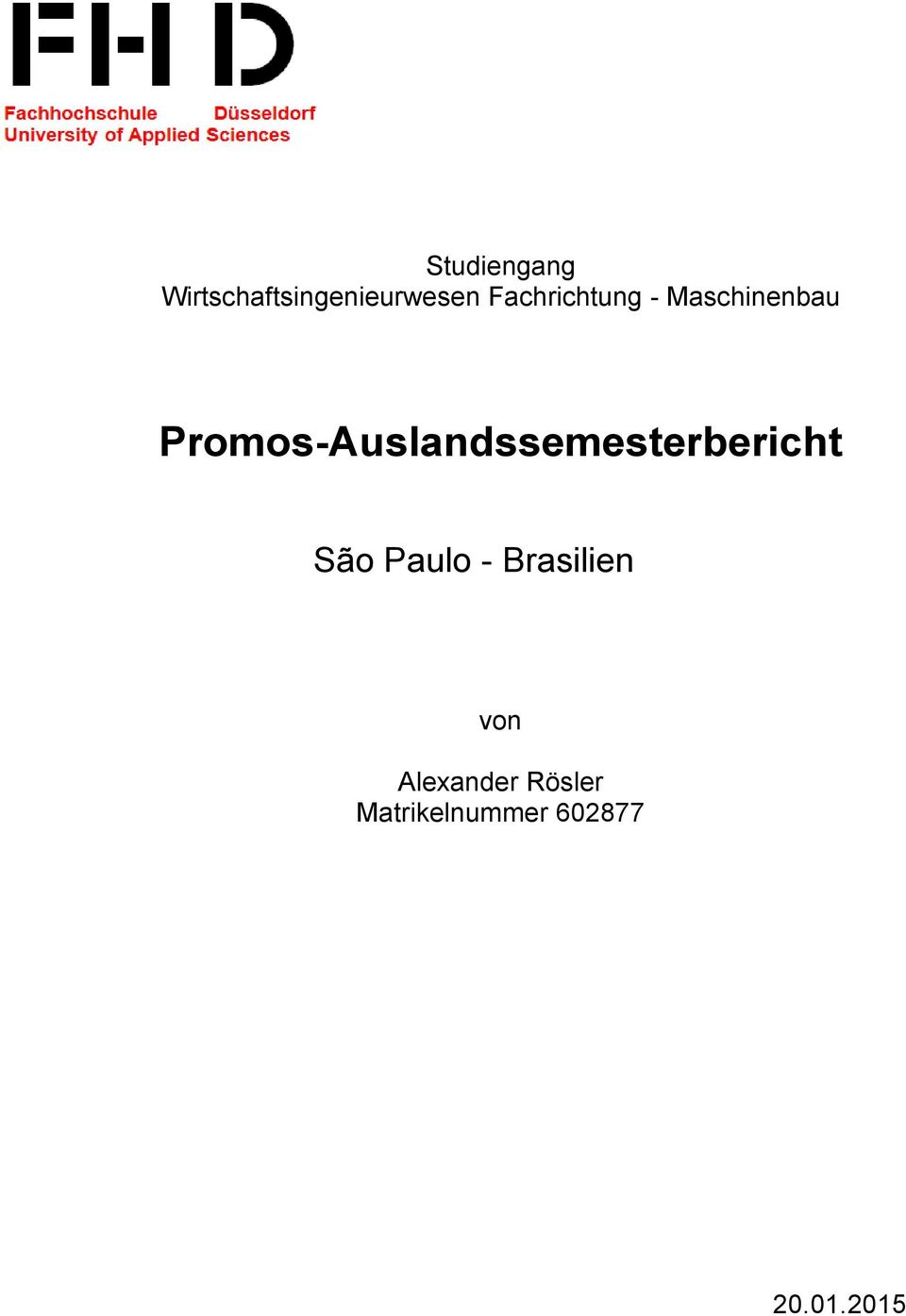 Promos-Auslandssemesterbericht São Paulo -