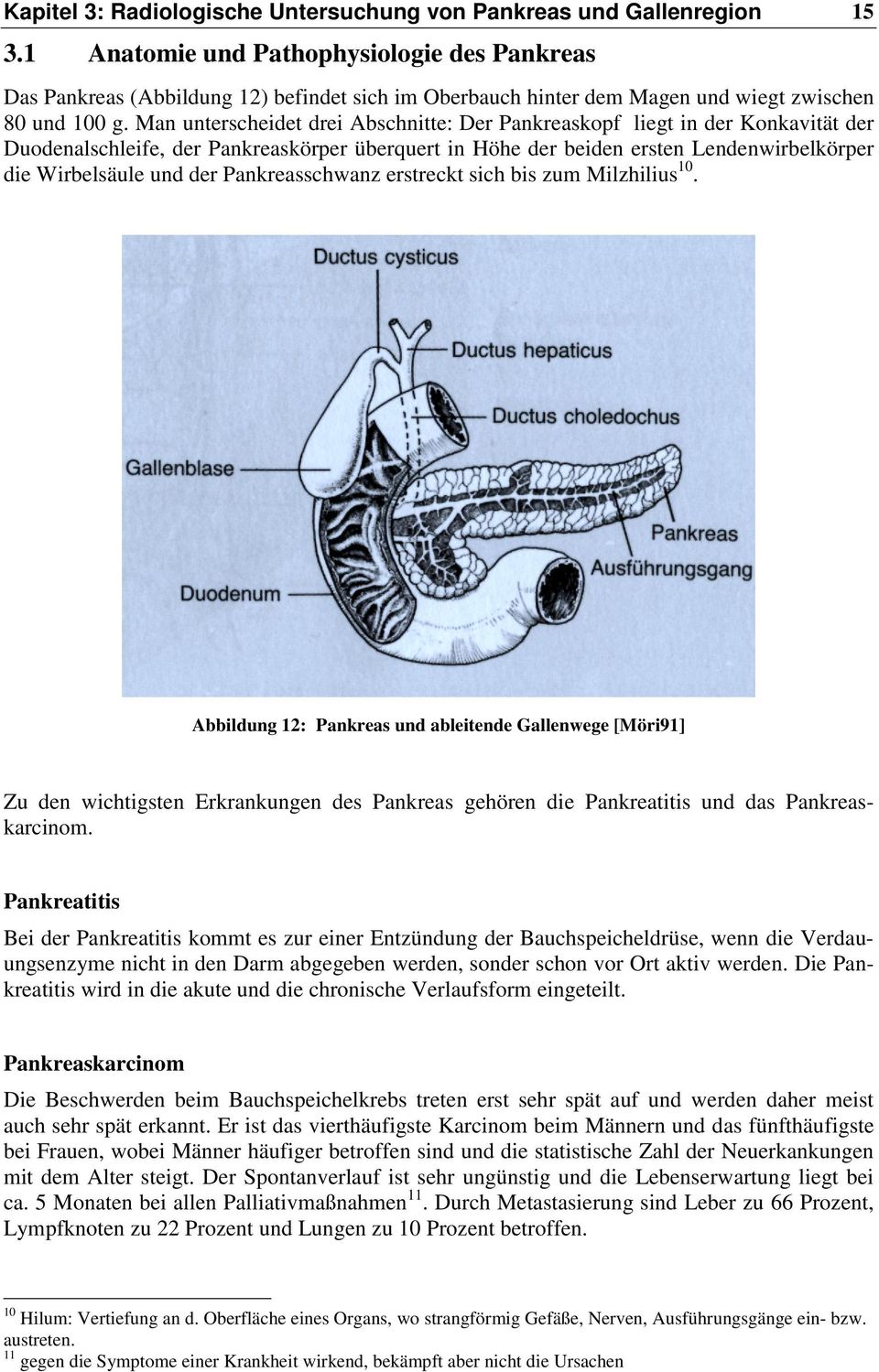 Man unterscheidet drei Abschnitte: Der Pankreaskopf liegt in der Konkavität der Duodenalschleife, der Pankreaskörper überquert in Höhe der beiden ersten Lendenwirbelkörper die Wirbelsäule und der