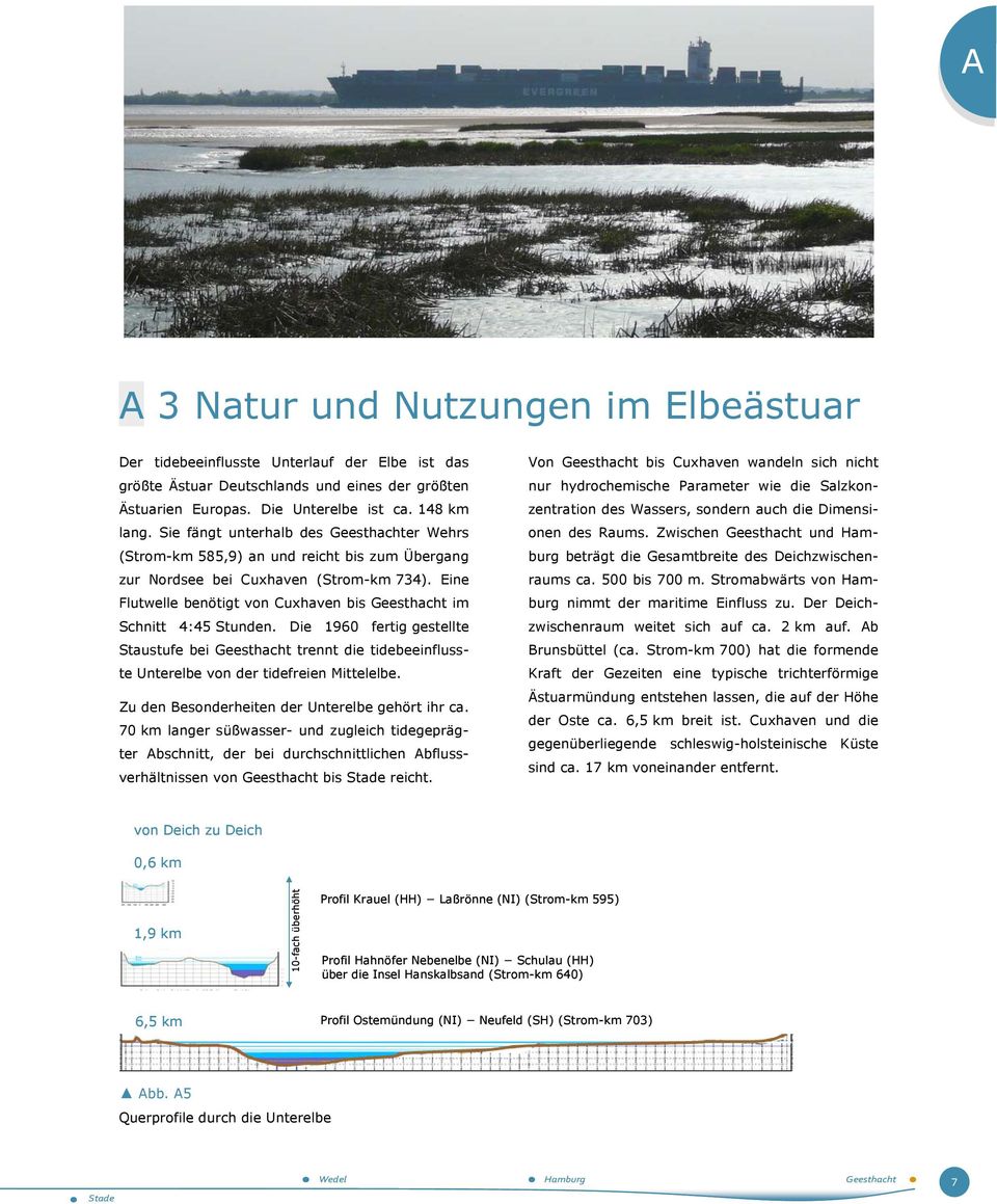 Die 1960 fertig gestellte Staustufe bei Geesthacht trennt die tidebeeinflusste Unterelbe von der tidefreien Mittelelbe. Zu den esonderheiten der Unterelbe gehört ihr ca.