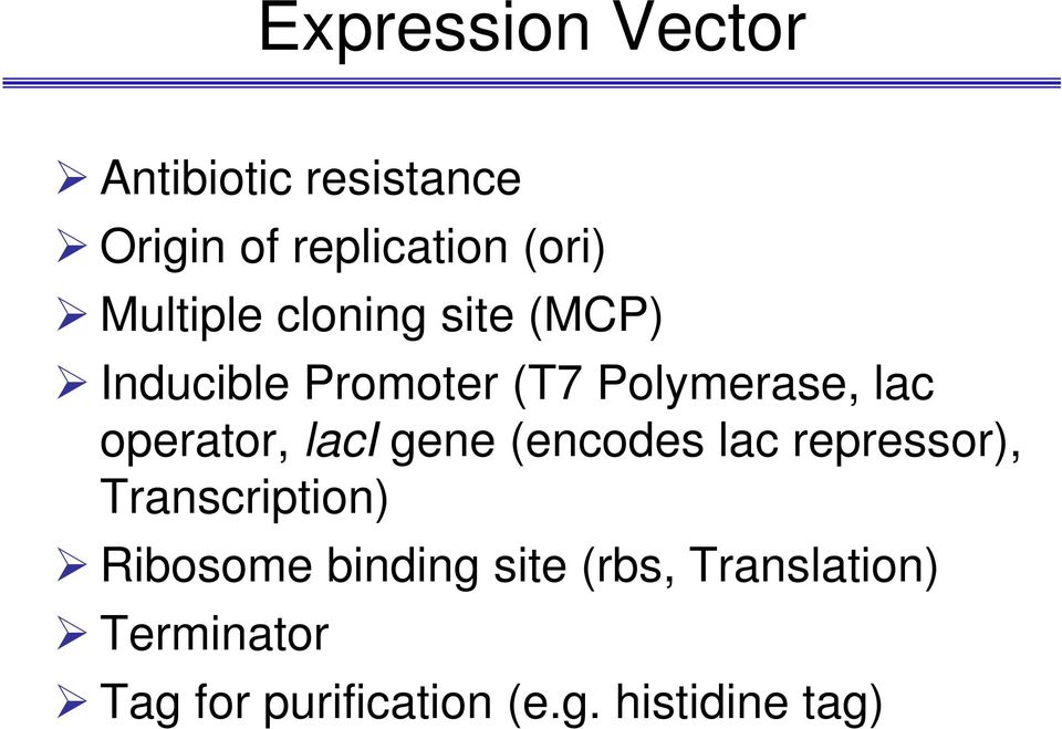 operator, laci gene (encodes lac repressor), Transcription) Ribosome