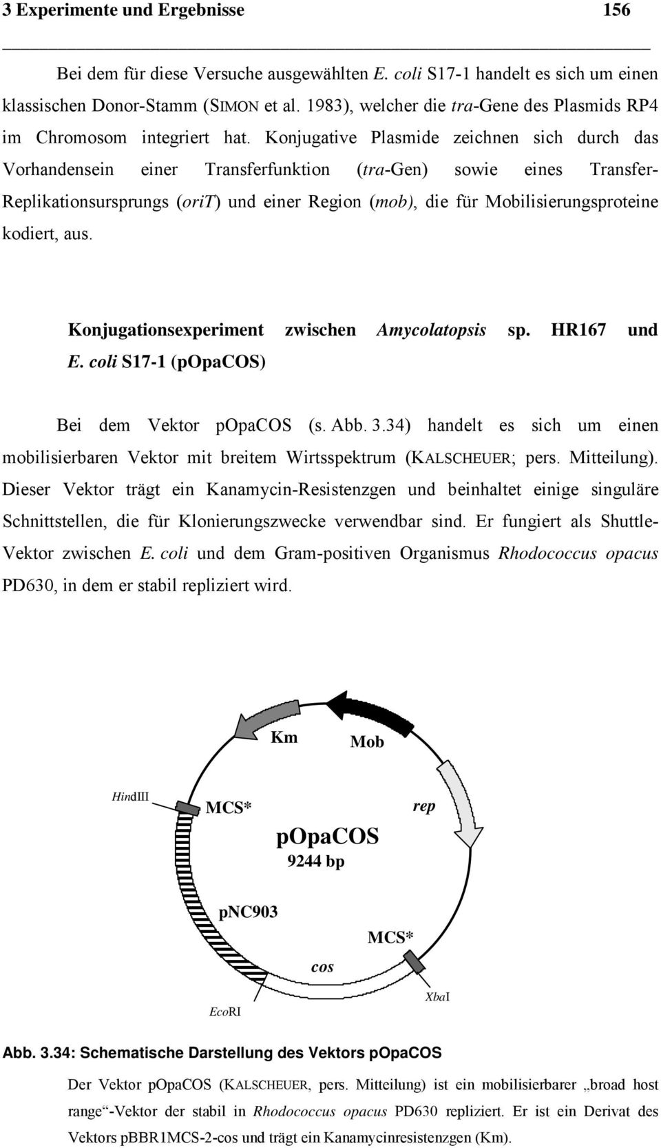 kodiert, aus. Konjugationsexperiment zwischen und E. coli S171 (popacos) Bei dem Vektor popacos (s. Abb. 3.