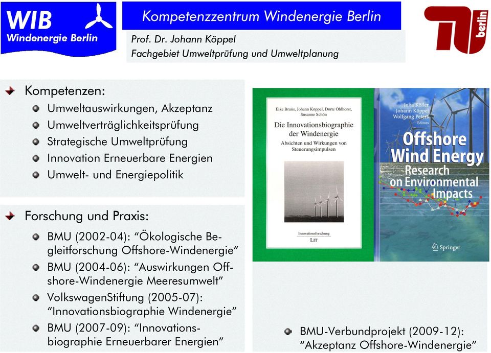 Strategische Umweltprüfung Innovation Erneuerbare Energien Umwelt- und Energiepolitik Forschung und Praxis: BMU (2002-04): Ökologische