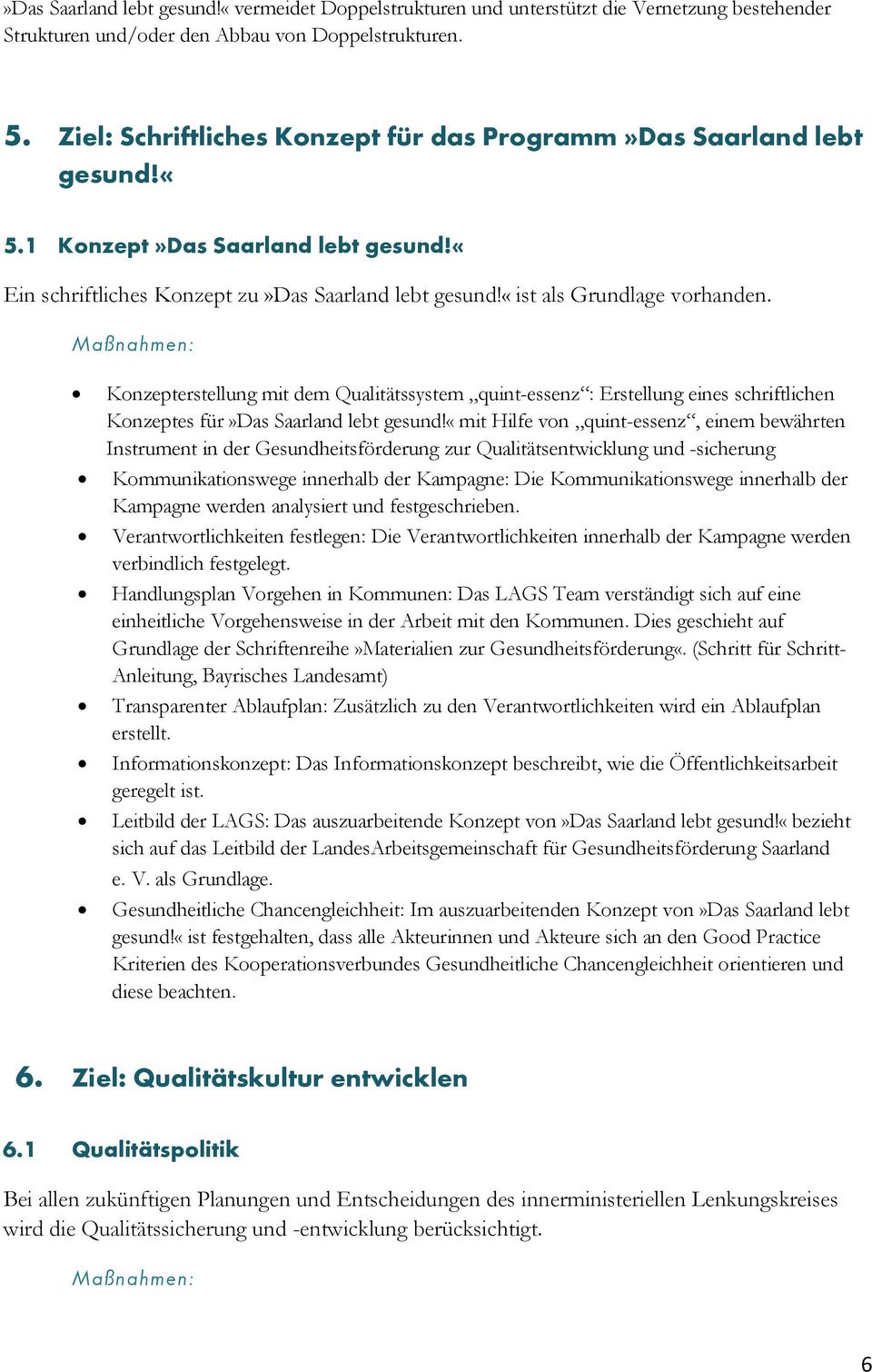 Konzepterstellung mit dem Qualitätssystem quint-essenz : Erstellung eines schriftlichen Konzeptes für»das Saarland lebt gesund!