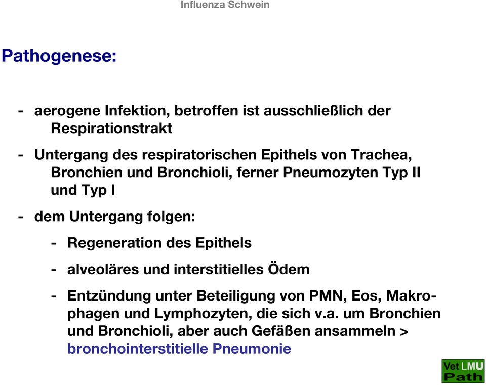 folgen: - Regeneration des Epithels - alveoläres und interstitielles Ödem - Entzündung unter Beteiligung von PMN,