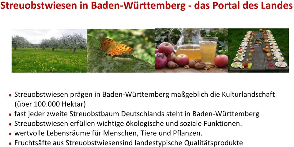 000 Hektar) fast jeder zweite Streuobstbaum Deutschlands steht in Baden-Württemberg Streuobstwiesen