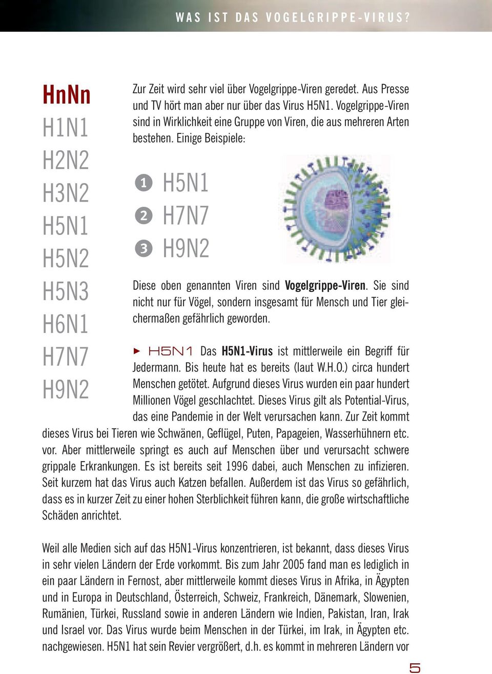 Einige Beispiele: 1 H5N1 2 H7N7 3 H9N2 Diese oben genannten Viren sind Vogelgrippe-Viren. Sie sind nicht nur für Vögel, sondern insgesamt für Mensch und Tier gleichermaßen gefährlich geworden.