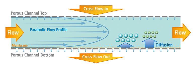 Symmetric Flow FFF Principle Cross-Flow Field for Separation Separation based on ydrodynamic Size/Molecular Weight