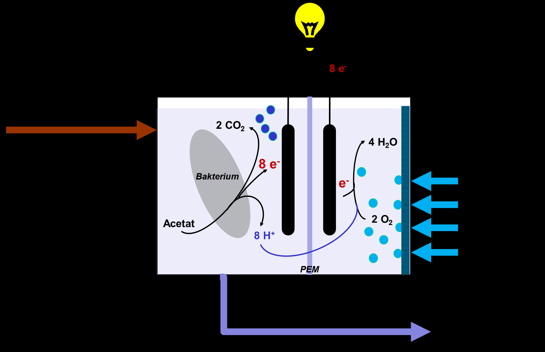 Mikrobielle Brennstoffzelle Simultane Stromerzeugung und Abwasserreinigung Verzicht auf aktive Belüftung