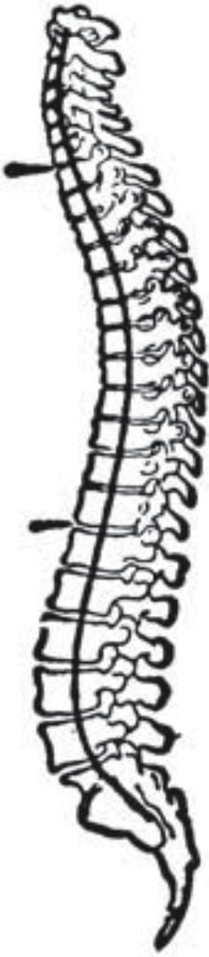 Rückenschmerzen: lokal oder ausstrahlend Meist: lumbale Rückenschmerzen, zwischen Rippenbogen und Sakrum Ausstrahlung vom Rücken über das Gesäss bis zur Kniekehle Ausstrahlung nicht mit Druck auf