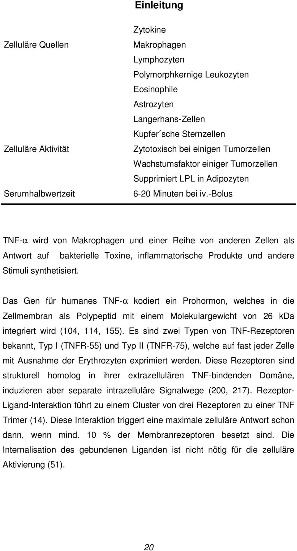 -bolus TNF-α wird von Makrophagen und einer Reihe von anderen Zellen als Antwort auf bakterielle Toxine, inflammatorische Produkte und andere Stimuli synthetisiert.