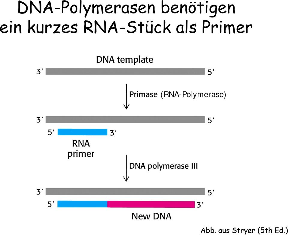 kurzes RNA-Stück