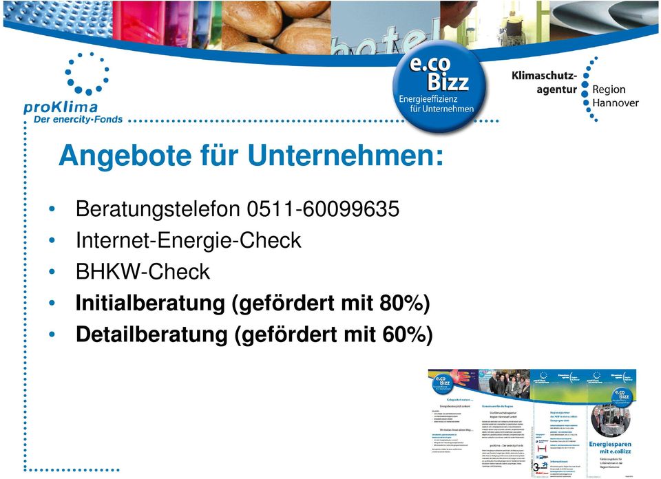 Internet-Energie-Check BHKW-Check