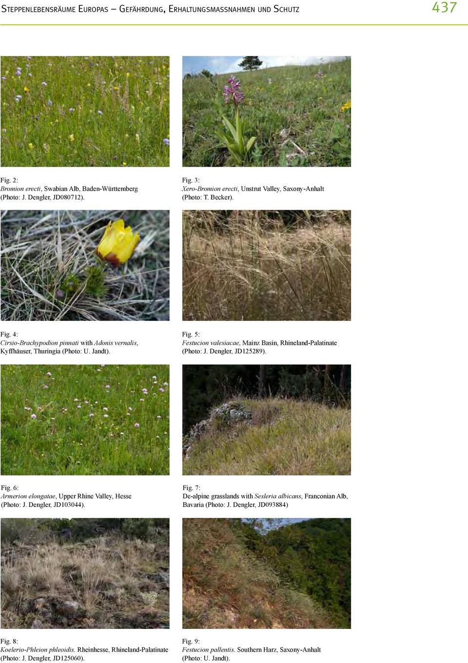Dengler, JD103044). Fig. 7: De-alpine grasslands with Sesleria albicans, Franconian Alb, Bavaria (Photo: J. Dengler, JD093884) Fig. 8: Koelerio-Phleion phleoidis.