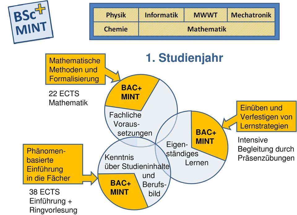 Kenntnis über Studieninhalte BAC+ MINT 1.